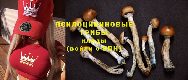 круглые Волоколамск