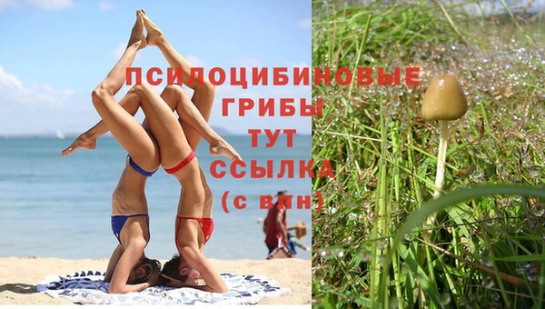 круглые Волоколамск