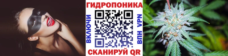 Купить Канаш Канабис VHQ
